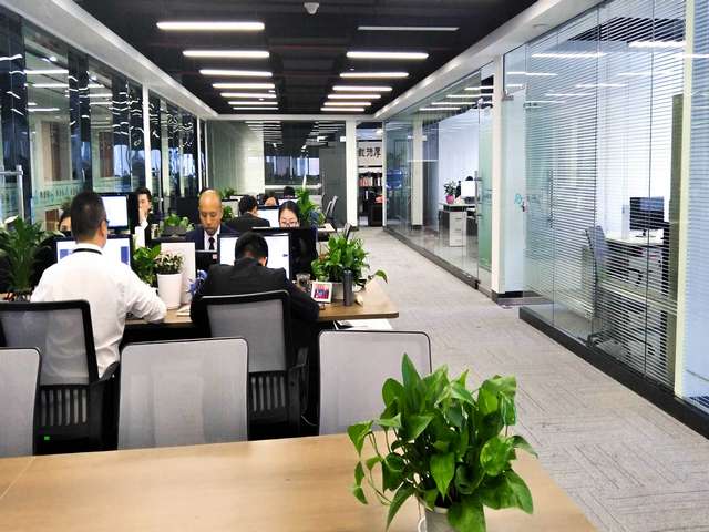 专业植物租赁电话